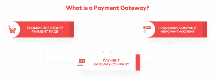 Best Payment Gateways In Pakistan (2023) – The Ultimate Guide